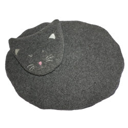 The Kennebec Barn Cat